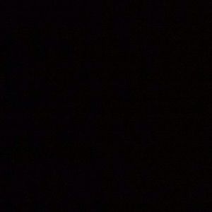 Meet your Posher, Elena